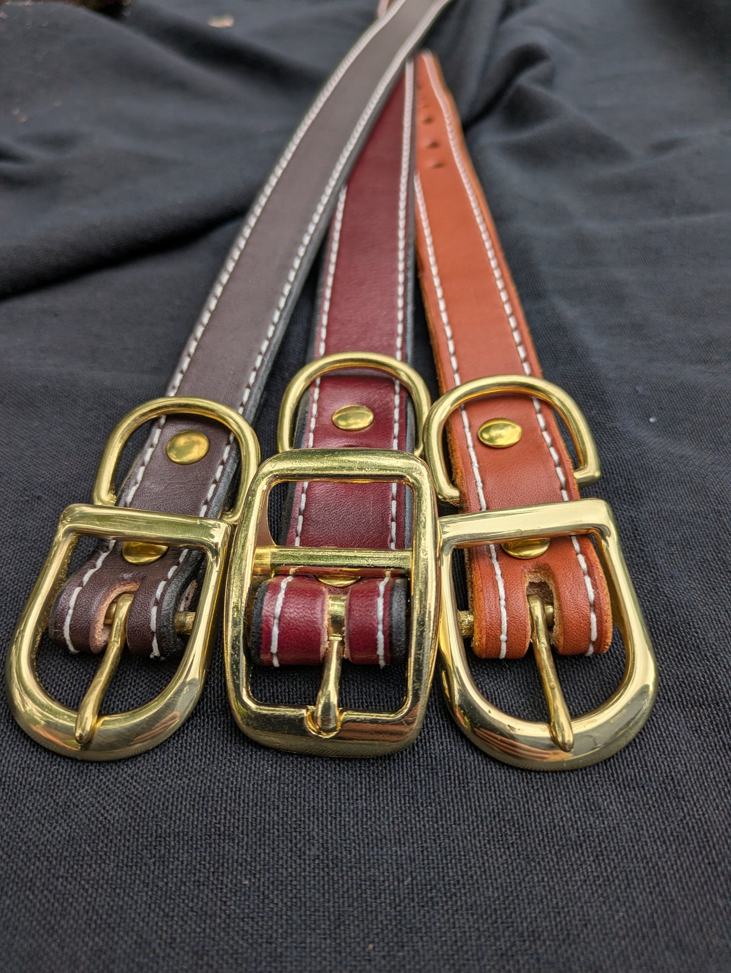 Dog Collar