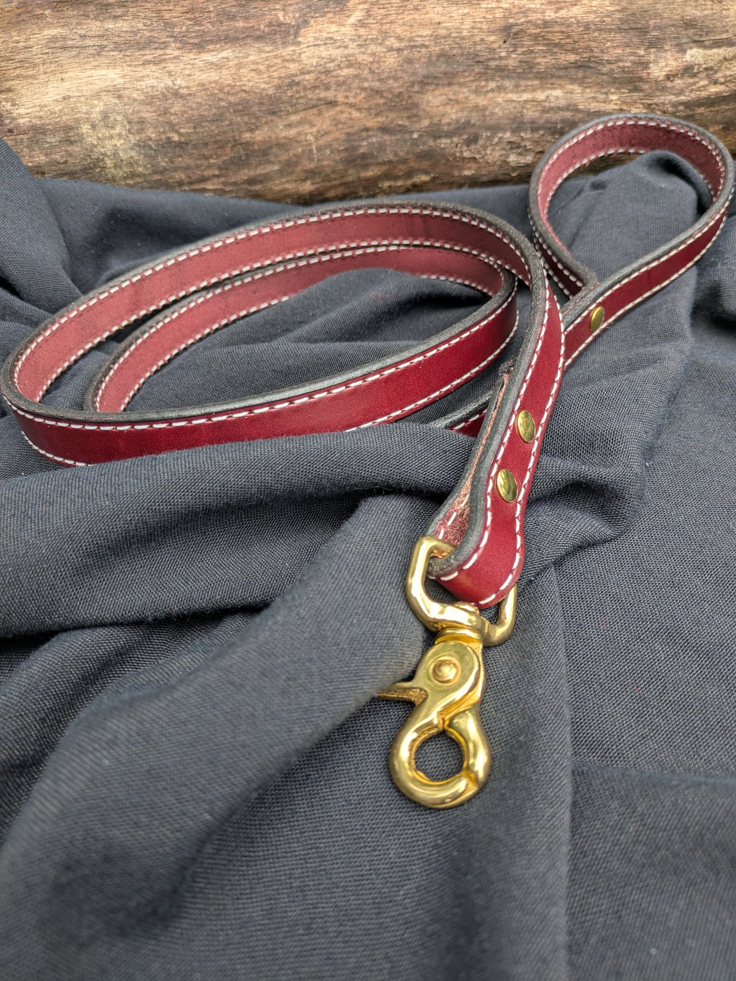 Dog leads