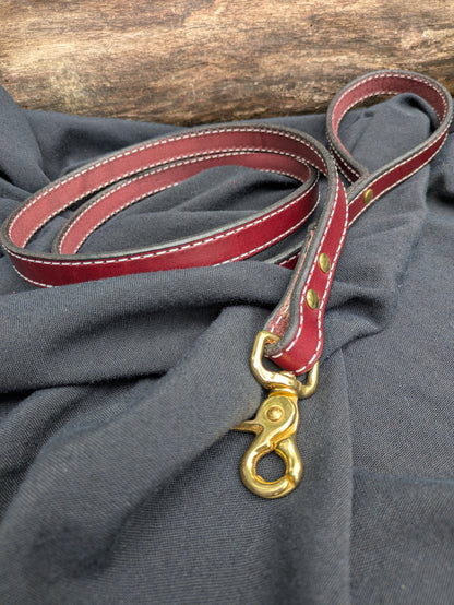 Dog leads